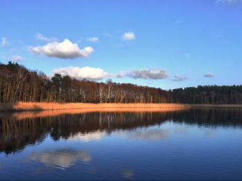 hotel-doellnsee-schorfheide_uckermark-brandenburg-berlin-familienhotel-tagungshotel-102.jpg